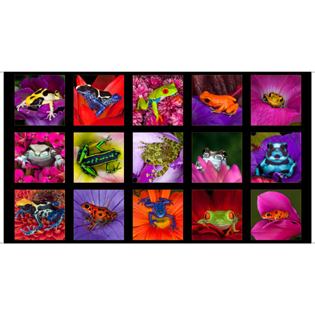 MINKY PRINTS             